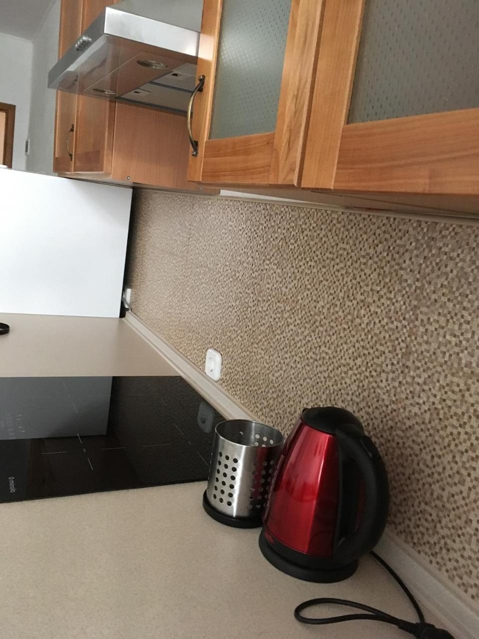 Apartaments In Karpaty Mizhhirya  Ngoại thất bức ảnh