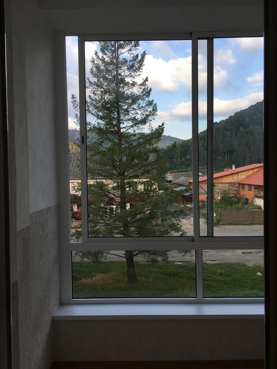 Apartaments In Karpaty Mizhhirya  Ngoại thất bức ảnh