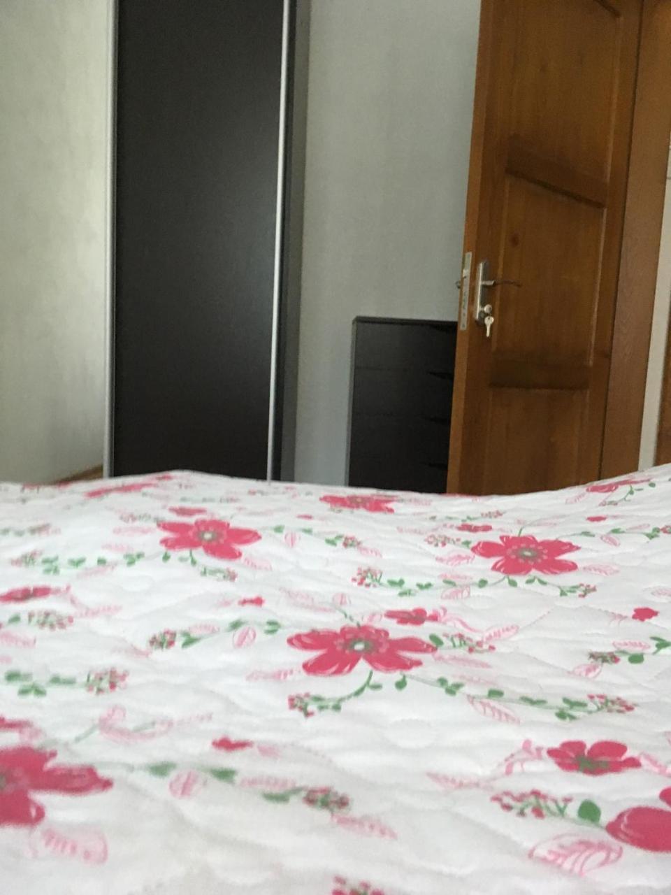 Apartaments In Karpaty Mizhhirya  Ngoại thất bức ảnh