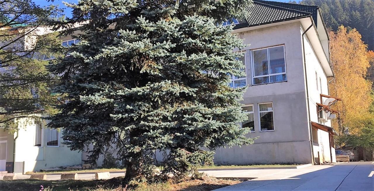 Apartaments In Karpaty Mizhhirya  Ngoại thất bức ảnh